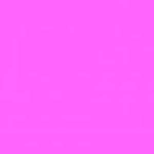 Meet your Posher, Riley